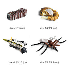Load image into Gallery viewer, Kids Cognitive Educational Toys Simulation Animal Insect Model Mini Animal Butterfly Growth Cycle Ornaments

