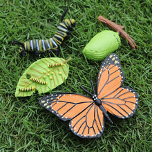 Load image into Gallery viewer, Kids Cognitive Educational Toys Simulation Animal Insect Model Mini Animal Butterfly Growth Cycle Ornaments
