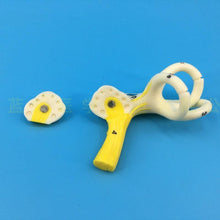 Load image into Gallery viewer, Labyrinthine Model of Inner Ear Medical Model of Human Ear Anatomy Semicircular canal Cochlea  anatomical model
