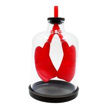 Load image into Gallery viewer, Lung Respiration Model Pulmonary Respiratory Model Human Respiratory System Model Septum Muscle Simulates Movement
