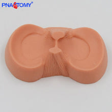 Load image into Gallery viewer, Meniscus Suture Model Life Size Human Demilune Menisci Medical Science Teaching Tool Anatomical Model Educational Equipment
