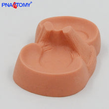 Load image into Gallery viewer, Meniscus Suture Model Life Size Human Demilune Menisci Medical Science Teaching Tool Anatomical Model Educational Equipment
