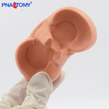 Load image into Gallery viewer, Meniscus Suture Model Life Size Human Demilune Menisci Medical Science Teaching Tool Anatomical Model Educational Equipment
