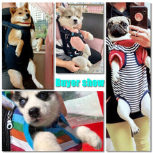 Load image into Gallery viewer, Mesh Dog Carriers Bag Outdoor Travel Backpack Breathable Portable Pet Dog Carrier for dogs Cats
