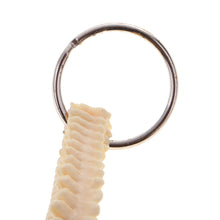 Load image into Gallery viewer, Mini PVC Material Handcrafted Human Spine Skeleton Model Keychain for School Teaching Aid Ornament Novelty Present
