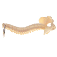 Load image into Gallery viewer, Mini PVC Material Handcrafted Human Spine Skeleton Model Keychain for School Teaching Aid Ornament Novelty Present
