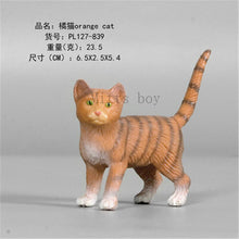 Load image into Gallery viewer, New Simulation Wild Animal Model Toys Set White Pet Cat Poultry Orange Cat Action Figure Cognition Educational Toy for Childrens
