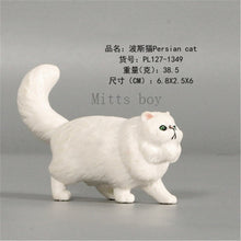 Load image into Gallery viewer, New Simulation Wild Animal Model Toys Set White Pet Cat Poultry Orange Cat Action Figure Cognition Educational Toy for Childrens
