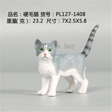 Load image into Gallery viewer, New Simulation Wild Animal Model Toys Set White Pet Cat Poultry Orange Cat Action Figure Cognition Educational Toy for Childrens
