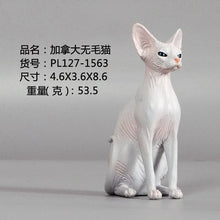 Load image into Gallery viewer, New Simulation Wild Animal Model Toys Set White Pet Cat Poultry Orange Cat Action Figure Cognition Educational Toy for Childrens
