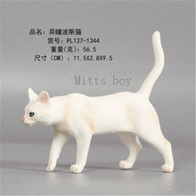 Load image into Gallery viewer, New Simulation Wild Animal Model Toys Set White Pet Cat Poultry Orange Cat Action Figure Cognition Educational Toy for Childrens
