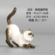 Load image into Gallery viewer, New Simulation Wild Animal Model Toys Set White Pet Cat Poultry Orange Cat Action Figure Cognition Educational Toy for Childrens
