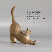 Load image into Gallery viewer, New Simulation Wild Animal Model Toys Set White Pet Cat Poultry Orange Cat Action Figure Cognition Educational Toy for Childrens
