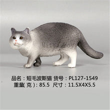 Load image into Gallery viewer, New Simulation Wild Animal Model Toys Set White Pet Cat Poultry Orange Cat Action Figure Cognition Educational Toy for Childrens
