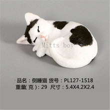 Load image into Gallery viewer, New Simulation Wild Animal Model Toys Set White Pet Cat Poultry Orange Cat Action Figure Cognition Educational Toy for Childrens
