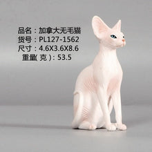 Load image into Gallery viewer, New Simulation Wild Animal Model Toys Set White Pet Cat Poultry Orange Cat Action Figure Cognition Educational Toy for Childrens
