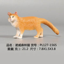 Load image into Gallery viewer, New Simulation Wild Animal Model Toys Set White Pet Cat Poultry Orange Cat Action Figure Cognition Educational Toy for Childrens
