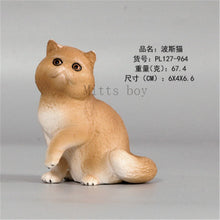 Load image into Gallery viewer, New Simulation Wild Animal Model Toys Set White Pet Cat Poultry Orange Cat Action Figure Cognition Educational Toy for Childrens
