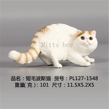 Load image into Gallery viewer, New Simulation Wild Animal Model Toys Set White Pet Cat Poultry Orange Cat Action Figure Cognition Educational Toy for Childrens
