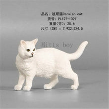 Load image into Gallery viewer, New Simulation Wild Animal Model Toys Set White Pet Cat Poultry Orange Cat Action Figure Cognition Educational Toy for Childrens
