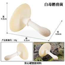 Load image into Gallery viewer, 19pcs/set Mushroom Model Vegetable Props Children's Puzzle Toy Decoration Decoration Scene Props
