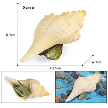Load image into Gallery viewer, Conch Marine Life Model Children's Science and Education Cognitive Learning Toys
