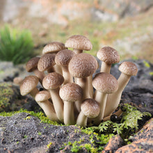 Load image into Gallery viewer, 19pcs/set Mushroom Model Vegetable Props Children's Puzzle Toy Decoration Decoration Scene Props
