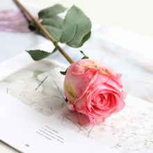 Load image into Gallery viewer, 5pcs/Set Artificial Rose Vintage Style Burnt Edge Rose Flower Decorative Table Artificial Flower
