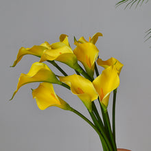 Load image into Gallery viewer, 5pcs Artificial Flower Common Calla Feels Really Artificial Flowers for Living Room Dining Table
