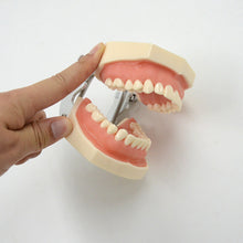 Load image into Gallery viewer, Preparation of soft gum cavity in dental practice tooth preparation model of 28 teeth replaceable disassembly model
