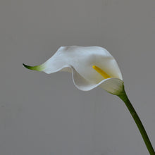 Load image into Gallery viewer, 5pcs Artificial Flower Common Calla Feels Really Artificial Flowers for Living Room Dining Table
