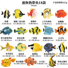 Load image into Gallery viewer, Simulation Mini Ocean Fish Animal Model Children's Science and Education Gift Tropical Fish Clownfish Fairy Fish Toy Fish Tank Landscape
