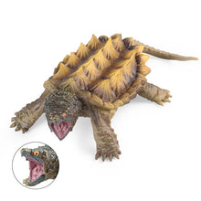 Load image into Gallery viewer, Freshwater Animal Crocodile Snapping Turtle Tortoise Tortoise Children's Science and Education Cognitive Biological Model Toy Decoration
