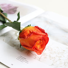 Load image into Gallery viewer, 5pcs/Set Artificial Rose Vintage Style Burnt Edge Rose Flower Decorative Table Artificial Flower
