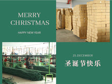 Load image into Gallery viewer, 45cm Christmas Tree Desktop Decoration with Lights Christmas Decorations
