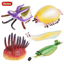 Load image into Gallery viewer, Marine Animal Model Prehistoric Trilobite Shrimp Chrysanthemum and Stone Cambrian Nautilidae Plate Foot Crab Children Teaching Toy Model
