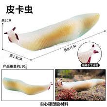 Load image into Gallery viewer, Marine Animal Model Prehistoric Trilobite Shrimp Chrysanthemum and Stone Cambrian Nautilidae Plate Foot Crab Children Teaching Toy Model
