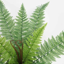 Load image into Gallery viewer, Artificial Fern Green Plant Simulation Persian Grass Plant Wall Engineering Landscaping Home Gardening Fake Grass
