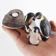 Load image into Gallery viewer, Penguin Growth Cycle Animal Model Simulation Antarctic Animal Solid Static Marine Life Children's Cognitive Learning Toy
