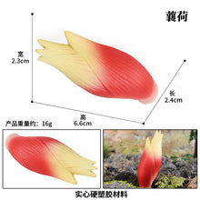 Load image into Gallery viewer, 19pcs/set Mushroom Model Vegetable Props Children's Puzzle Toy Decoration Decoration Scene Props
