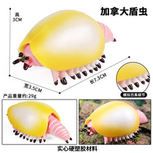 Load image into Gallery viewer, Marine Animal Model Prehistoric Trilobite Shrimp Chrysanthemum and Stone Cambrian Nautilidae Plate Foot Crab Children Teaching Toy Model
