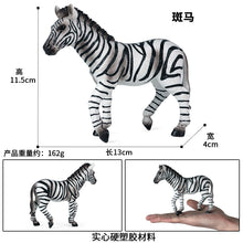 Load image into Gallery viewer, Zebra Model Simulation Wild Animal Children Decoration Toys Learning Education Model
