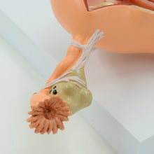 Load image into Gallery viewer, Human Body Model Female Reproductive Uterus Vagina Ovary Uterus Teaching Mold Pathological Changes Popular Science Training Teaching Aids
