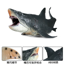 Load image into Gallery viewer, Large Megalodon Marine Animal Model Children's Educational Learning Decoration Toys Gift Animal Model
