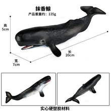 Load image into Gallery viewer, A Variety of Marine Life Models Great White Shark Megalodon Whale Shark Tiger Shark Blue Whale Children Learning Cognitive Ornaments
