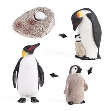 Load image into Gallery viewer, Penguin Growth Cycle Animal Model Simulation Antarctic Animal Solid Static Marine Life Children's Cognitive Learning Toy
