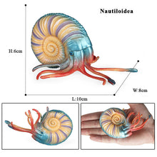 Load image into Gallery viewer, 2pcs/Set Simulation Marine Animals Snails Model Toys Ancient Creatures Children Puzzle Gift Nautilidae Conch Fish Tank Decoration
