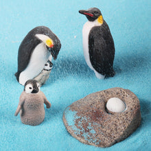 Load image into Gallery viewer, Penguin Growth Cycle Animal Model Simulation Antarctic Animal Solid Static Marine Life Children's Cognitive Learning Toy
