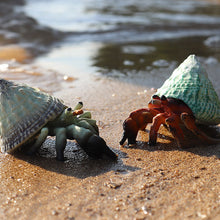 Load image into Gallery viewer, Hermit Crab Simulation Marine Animal Crab Submarine Creature Model Children's Educational Learning Toy Fish Tank Decoration
