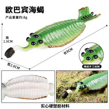 Load image into Gallery viewer, Marine Animal Model Prehistoric Trilobite Shrimp Chrysanthemum and Stone Cambrian Nautilidae Plate Foot Crab Children Teaching Toy Model
